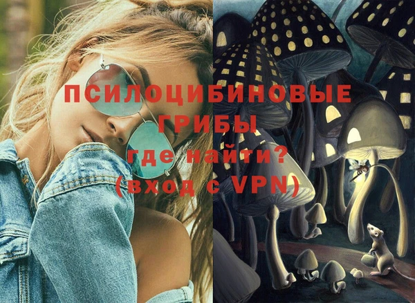 a pvp Алексин