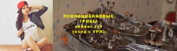 метамфетамин Алексеевка