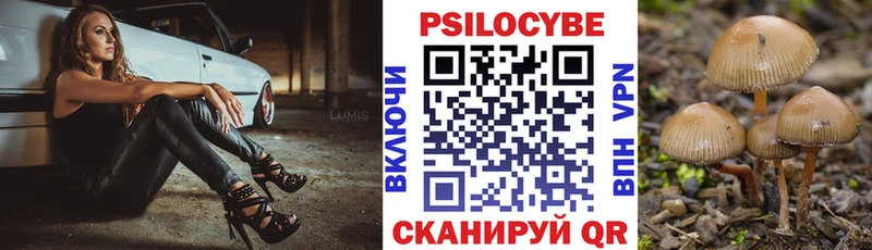 магазин продажи наркотиков  Мантурово  Галлюциногенные грибы Psilocybine cubensis 